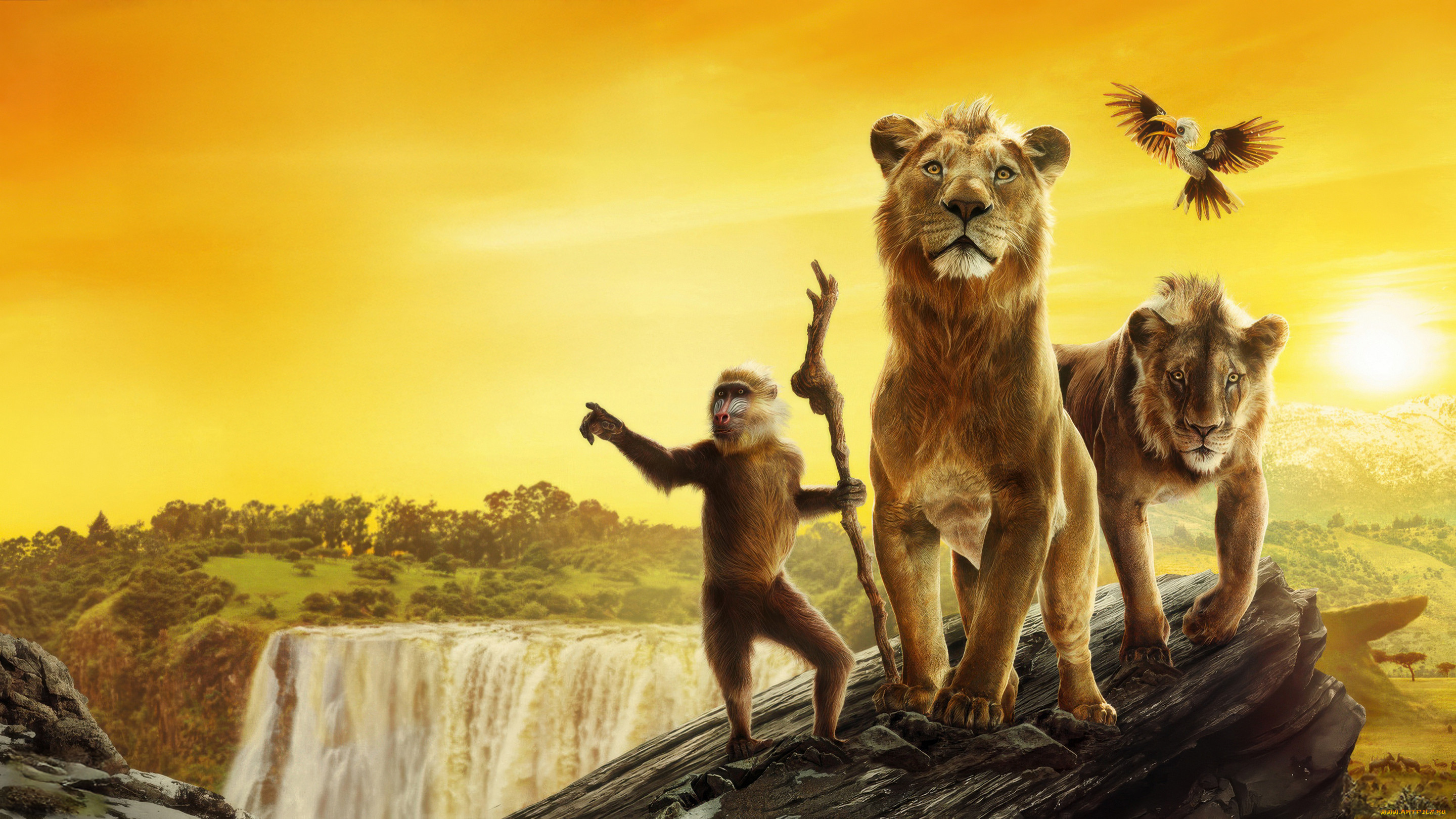 mufasa,  the lion king ,  2024 , ,  the lion king, the, lion, king, d, box, oe, e, 
